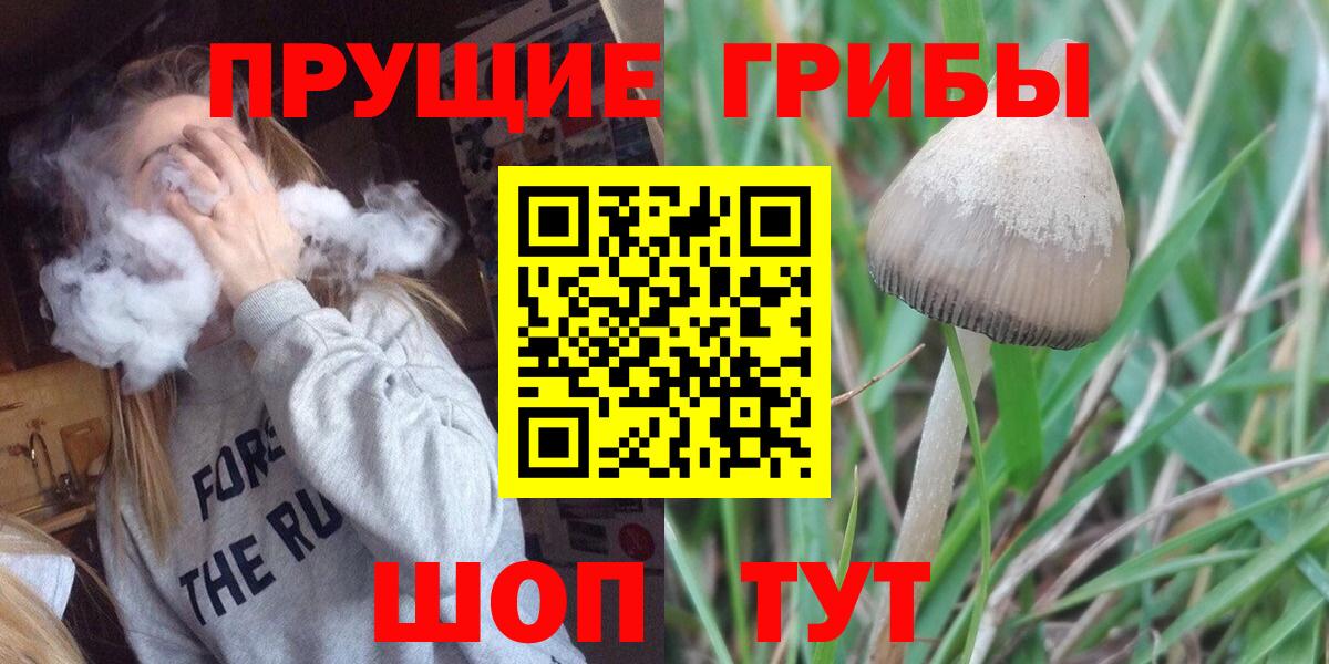 Псилоцибиновые грибы Psilocybine cubensis Копейск